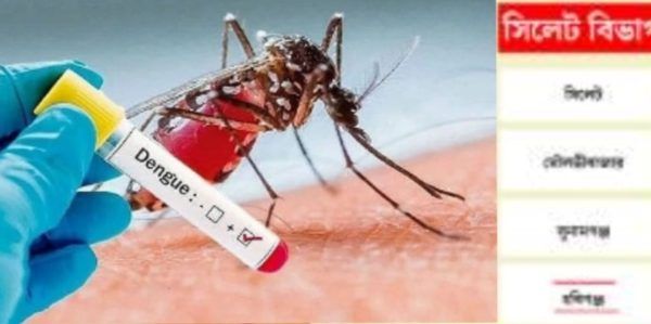 সিলেটে ডেঙ্গুর প্রার্দুভাব আক্রান্ত রোগীর  সংখ্যা মৃত্যু নেই - Banglar Mati