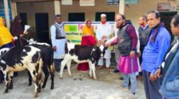 পাবনায় বাছুর হাতে ধরিয়ে ফটোসেশন, ডিম-খিচুড়ি খাইয়ে বিদায়! - Banglar Mati