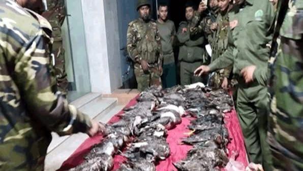 হরিপুরে ভ্রাম্যমান আদালতের দুটি হোটেল কে জরিমানা : মৃত পাখি উদ্ধার - Banglar Mati