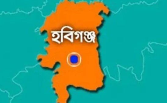 হবিগঞ্জে ৬ শিশুকে ধর্ষনের খবর শুনে পিতার মৃত্যু : দুই কিশোর আটক - Banglar Mati