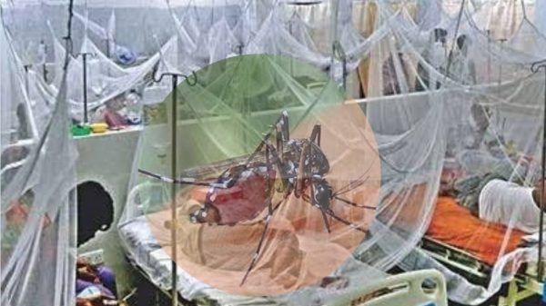 ২৪ ঘণ্টায় ডেঙ্গু আক্রান্ত ১২ জনের মৃত্যু হ - Banglar Mati